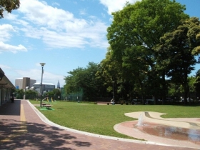 　「目白台運動公園」にはリードをはずして遊ばせることができる広場があるので、お散歩コースにおすすめです。